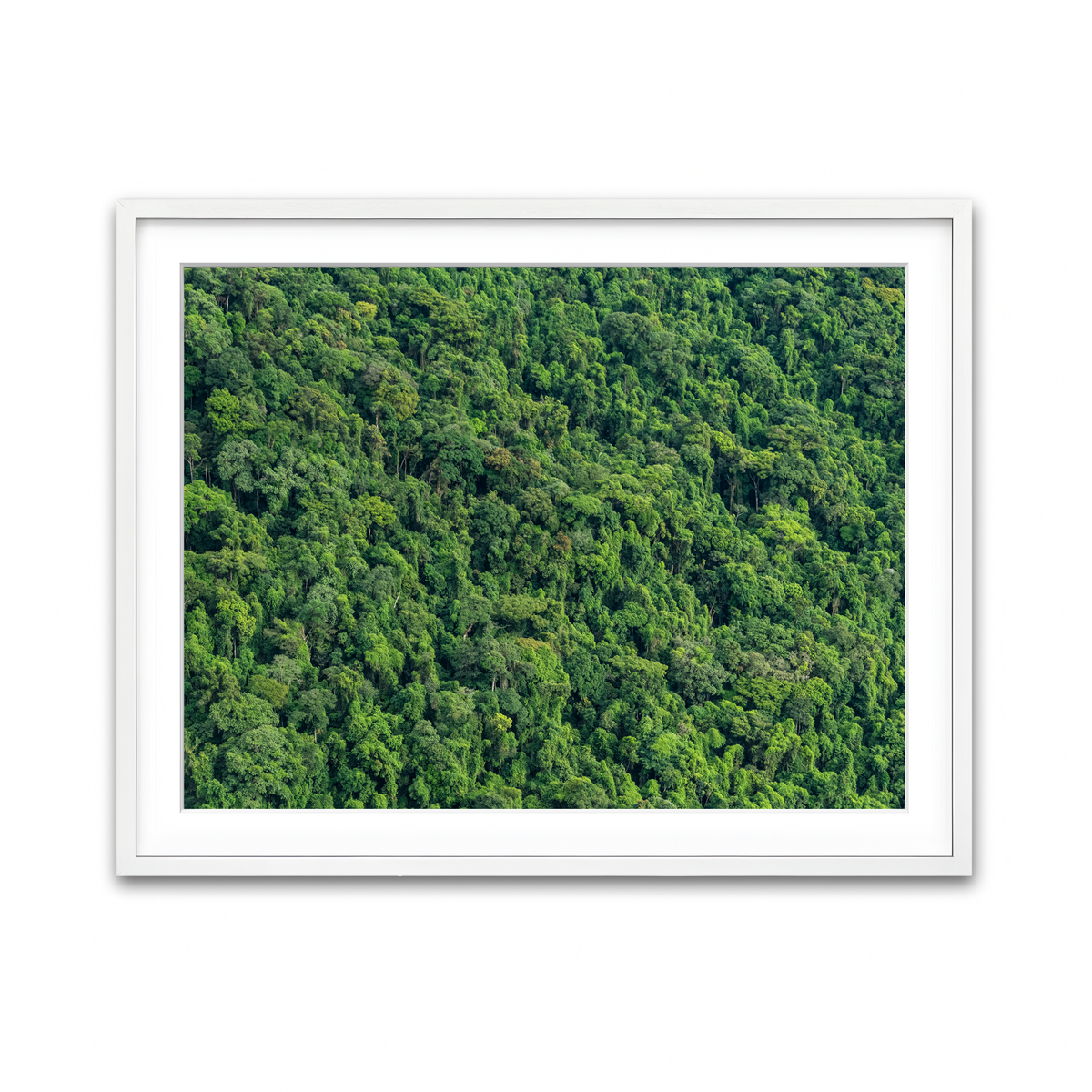 Framed Print 4x3 White