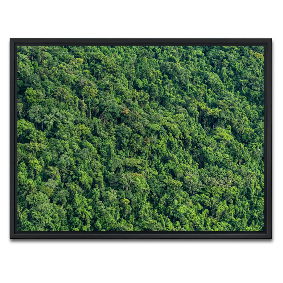 AUTO-MOCKUP WHITE | Atlantic Forest | 1 Piece | Black Framed Canvas | group=4x3