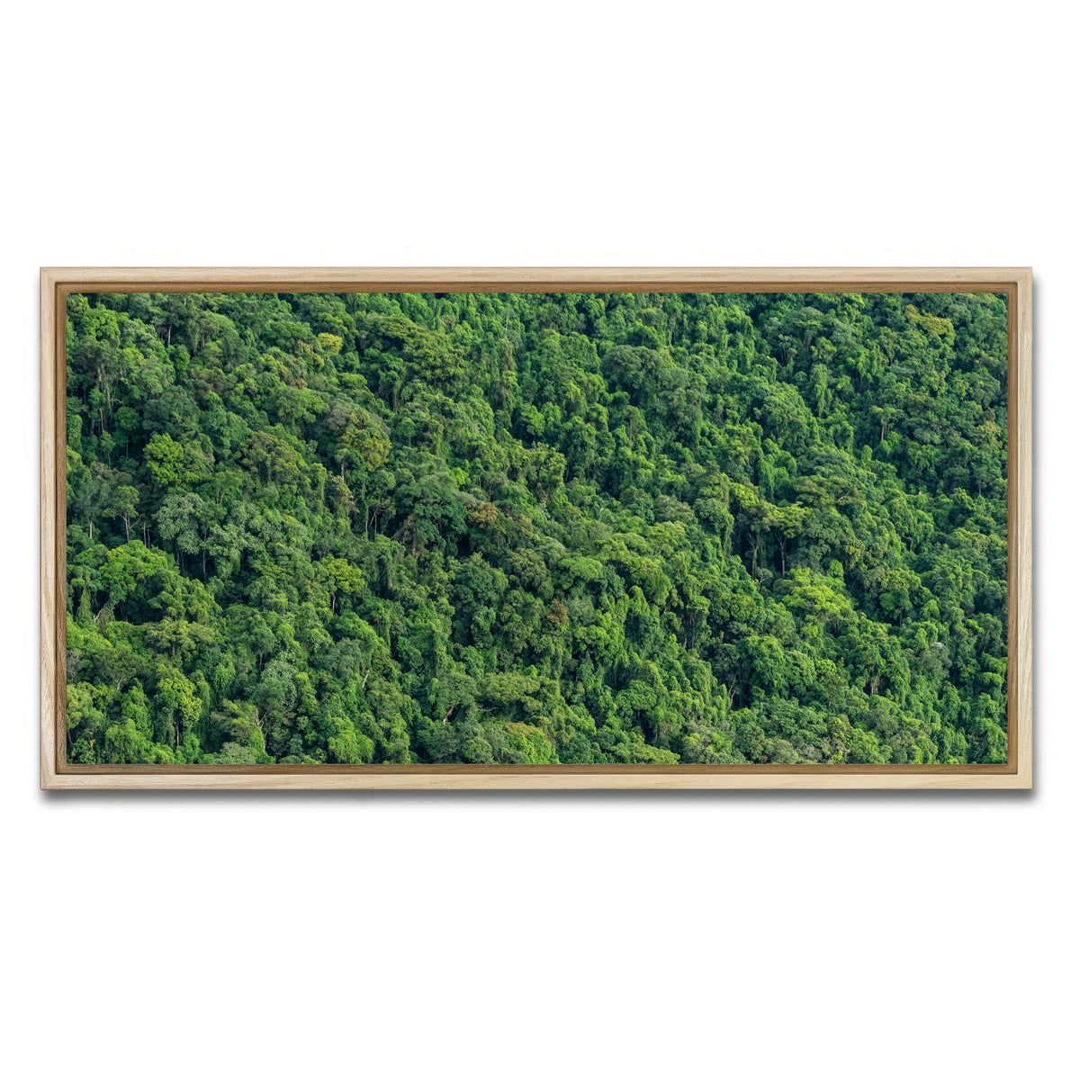 AUTO-MOCKUP WHITE | Atlantic Forest | 1 Piece | Natural Framed Canvas | group=2x1