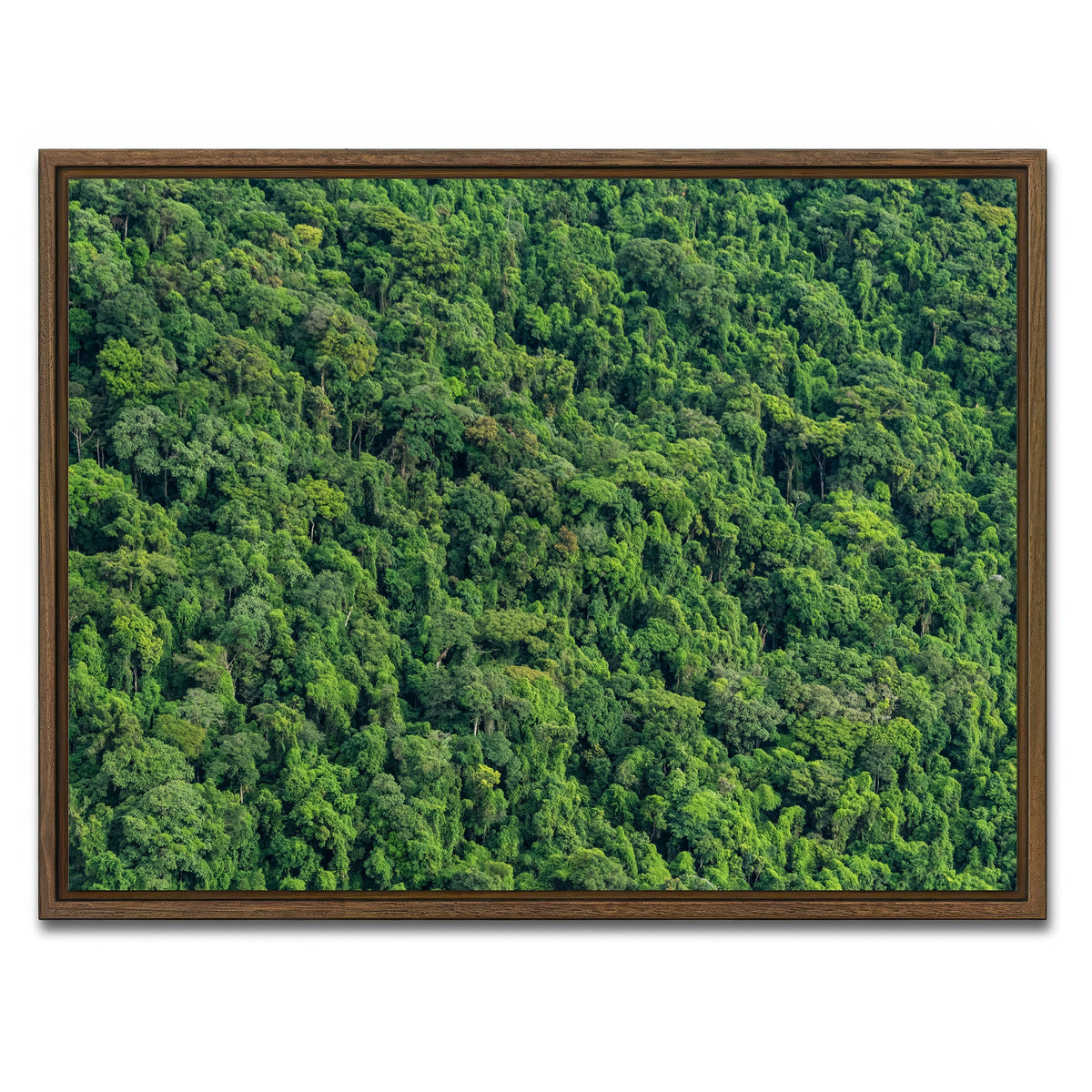 AUTO-MOCKUP WHITE | Atlantic Forest | 1 Piece | Walnut Framed Canvas | group=4x3