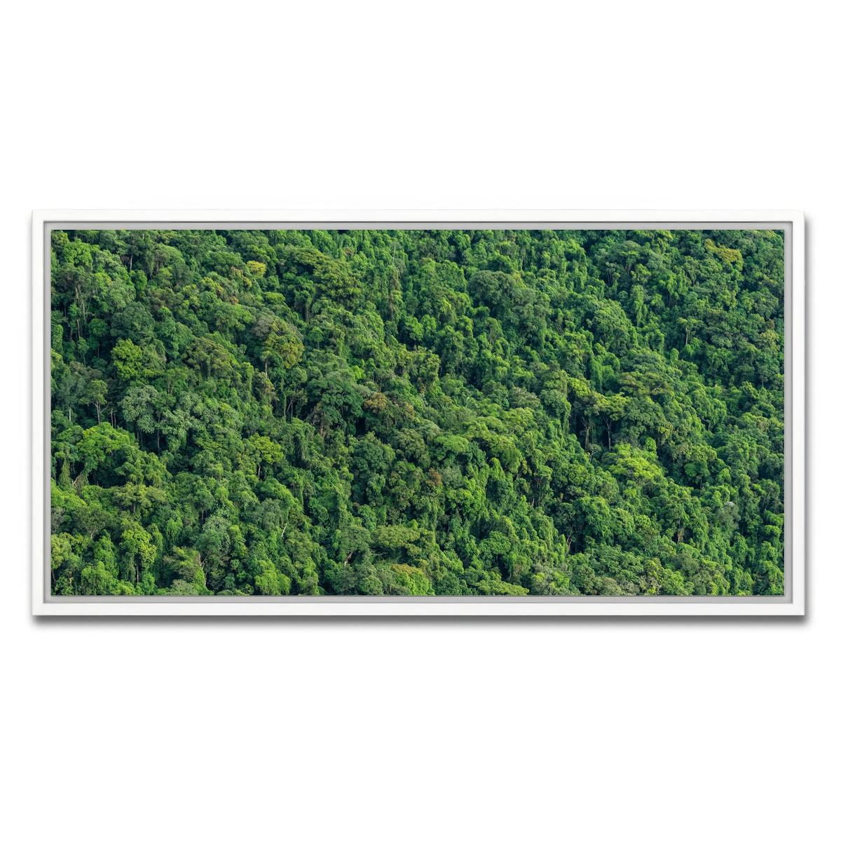 AUTO-MOCKUP WHITE | Atlantic Forest | 1 Piece | White Framed Canvas | group=2x1