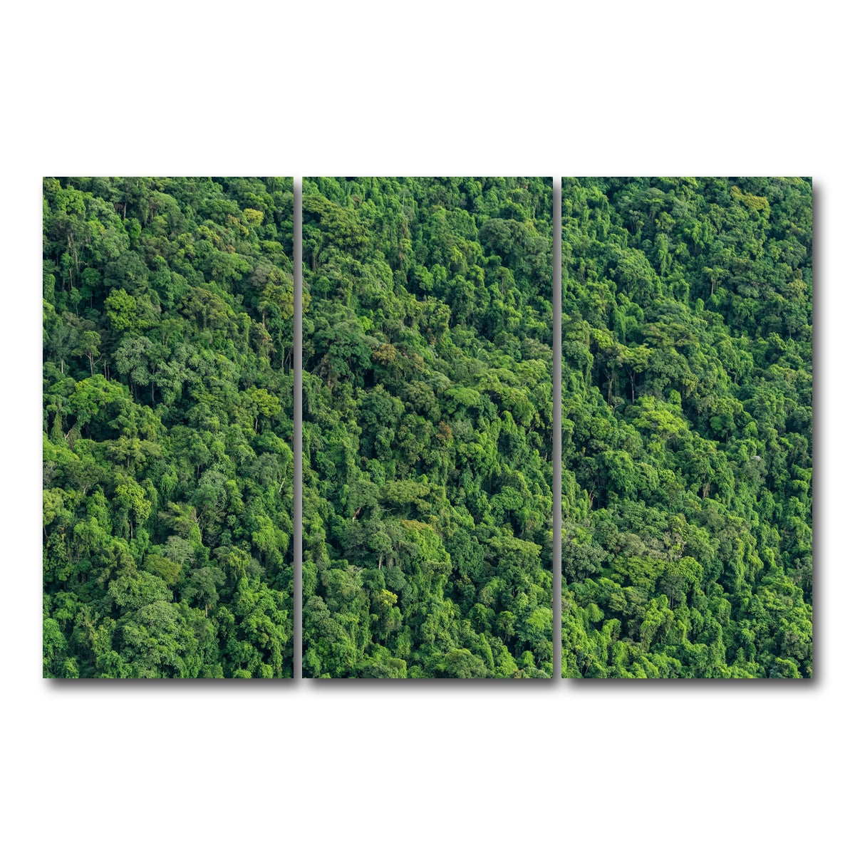 AUTO-MOCKUP WHITE | Atlantic Forest | 3 Piece | Gallery Wrap Canvas | group=12x24