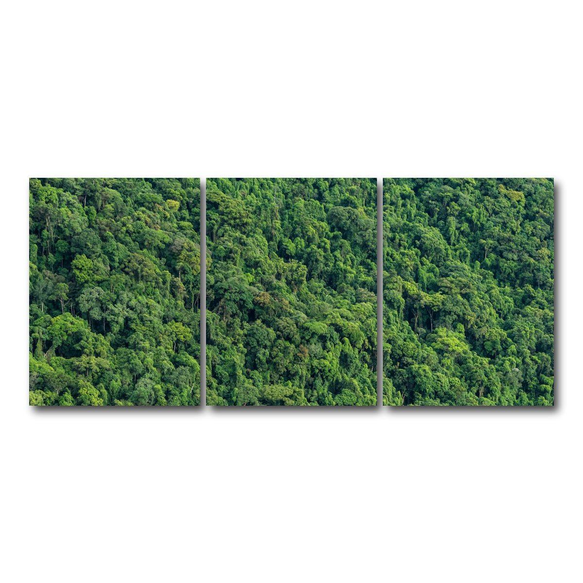 AUTO-MOCKUP WHITE | Atlantic Forest | 3 Piece | Gallery Wrap Canvas | group=18x24