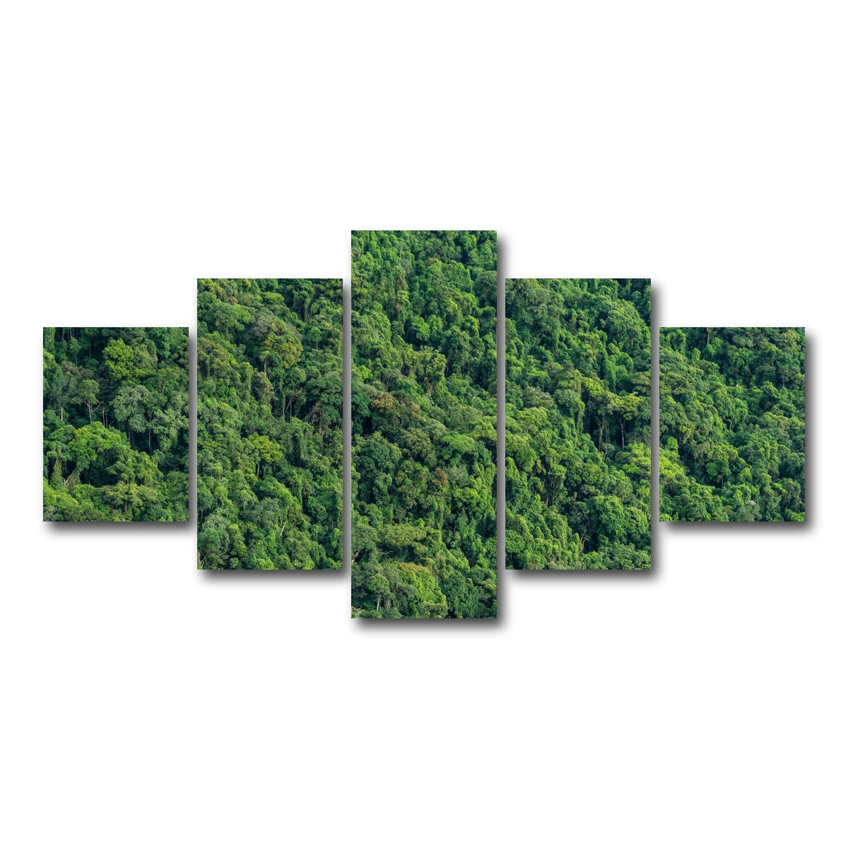 AUTO-MOCKUP WHITE | Atlantic Forest | 5 Piece | Gallery Wrap Canvas | group=5_short