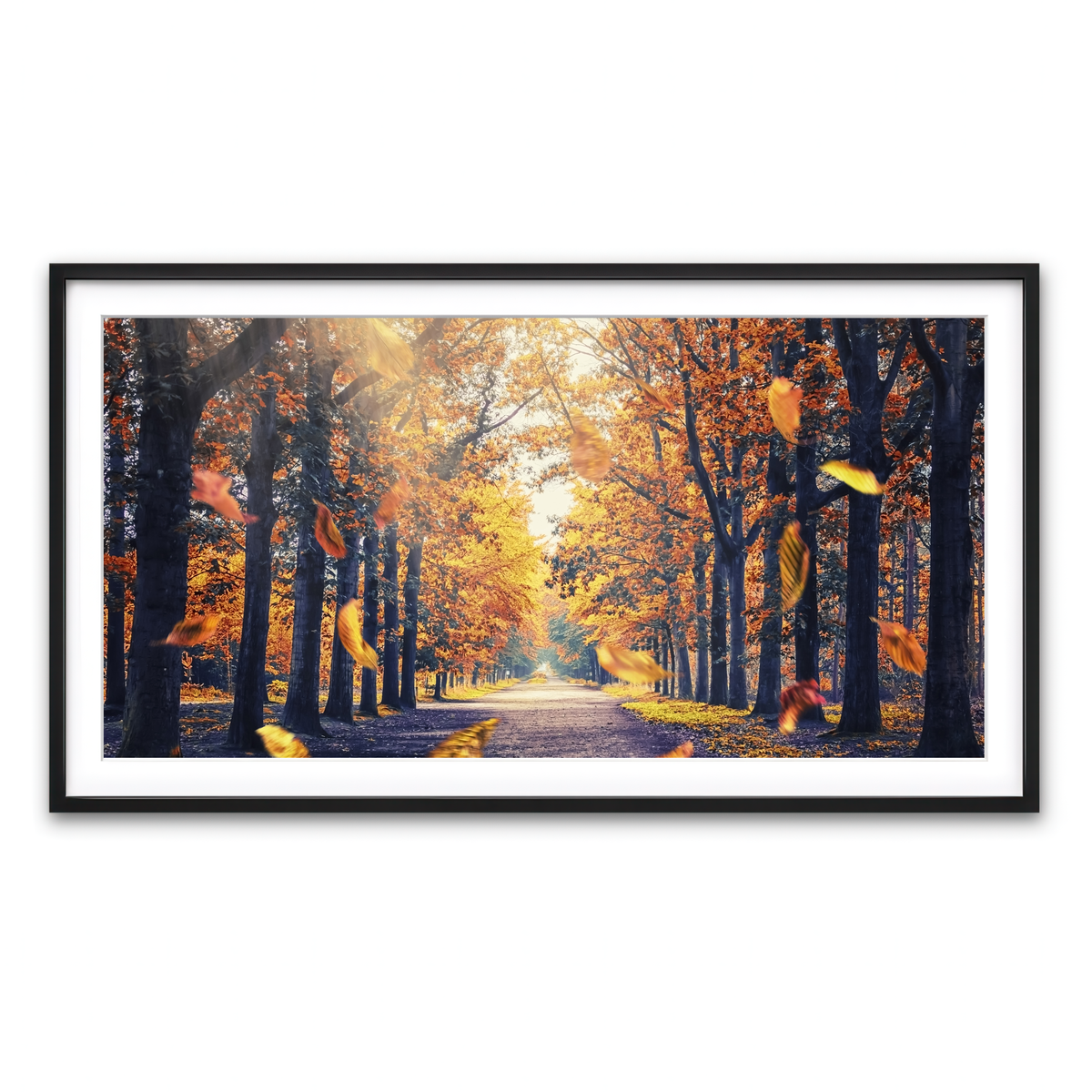 Framed Print 2x1 Black
