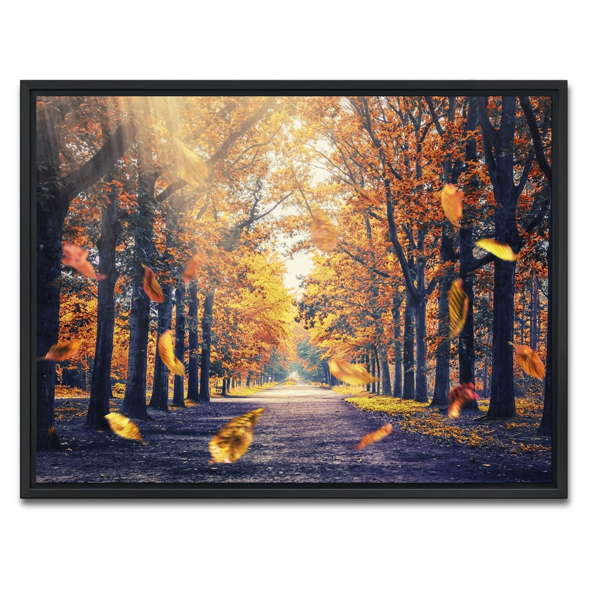 AUTO-MOCKUP WHITE | Autumn In Holland | 1 Piece | Black Framed Canvas | group=4x3