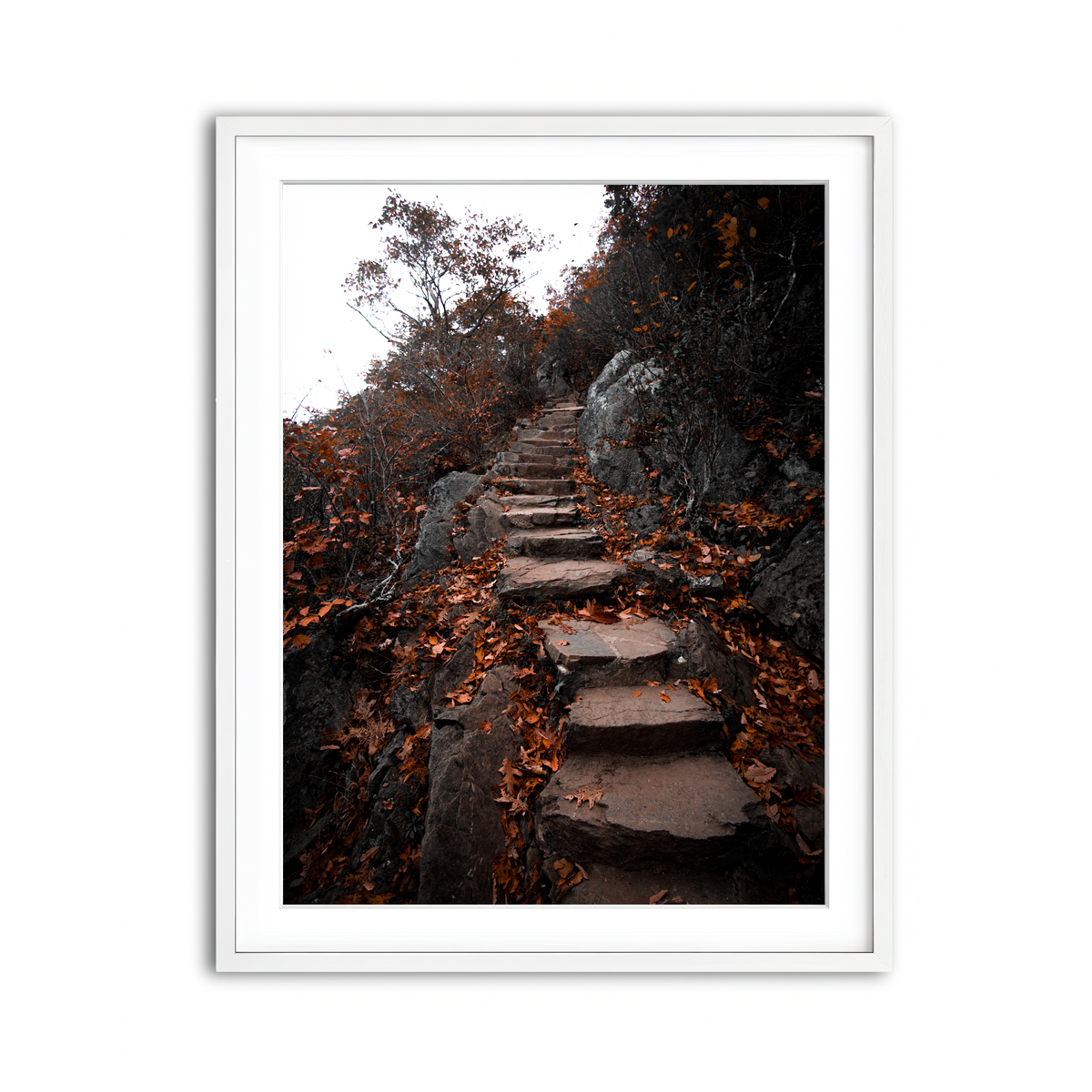 Framed Print 3x4 White