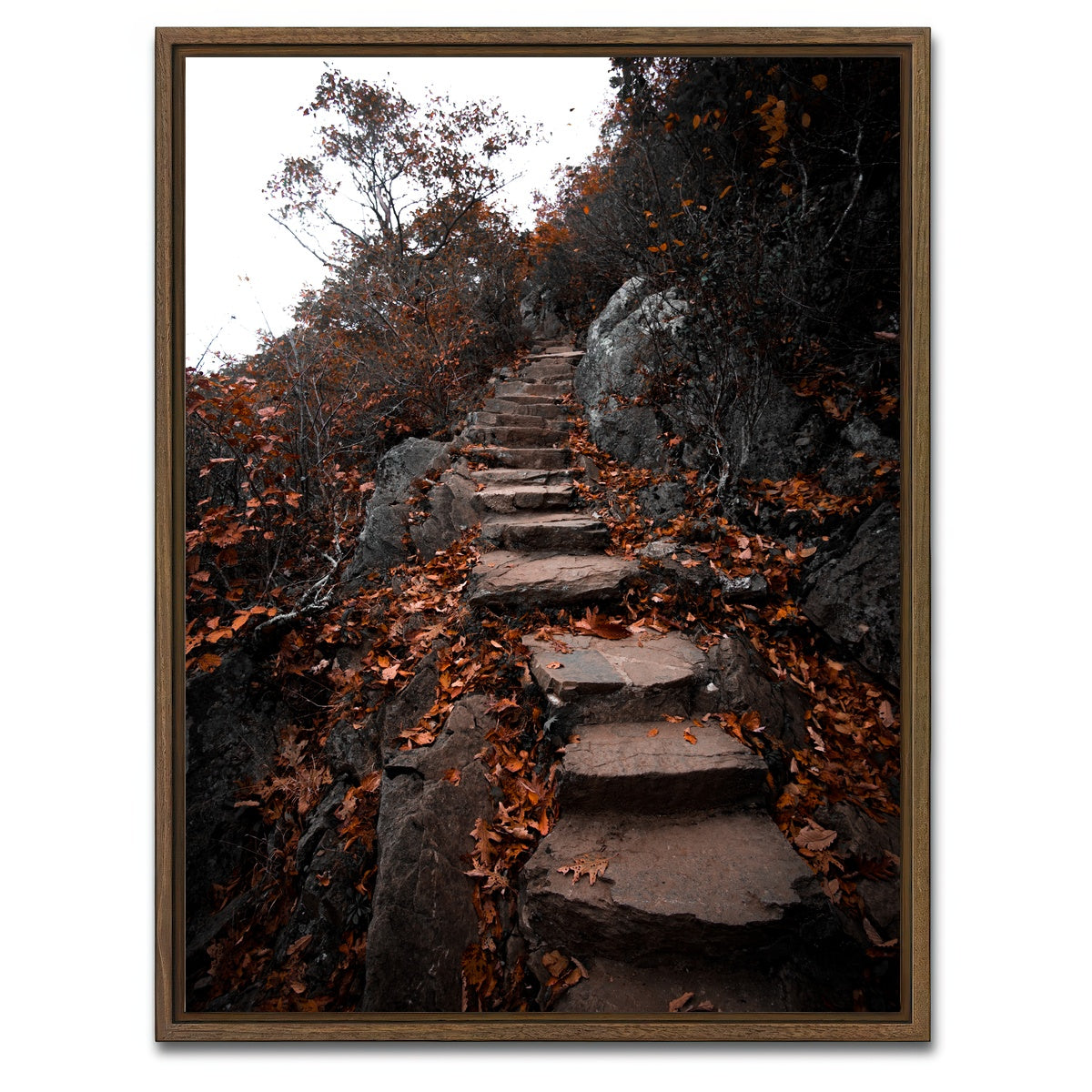 AUTO-MOCKUP WHITE | Autumn Path | 1 Piece | Walnut Framed Canvas | group=3x4