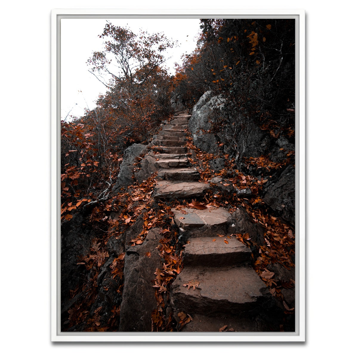 AUTO-MOCKUP WHITE | Autumn Path | 1 Piece | White Framed Canvas | group=3x4