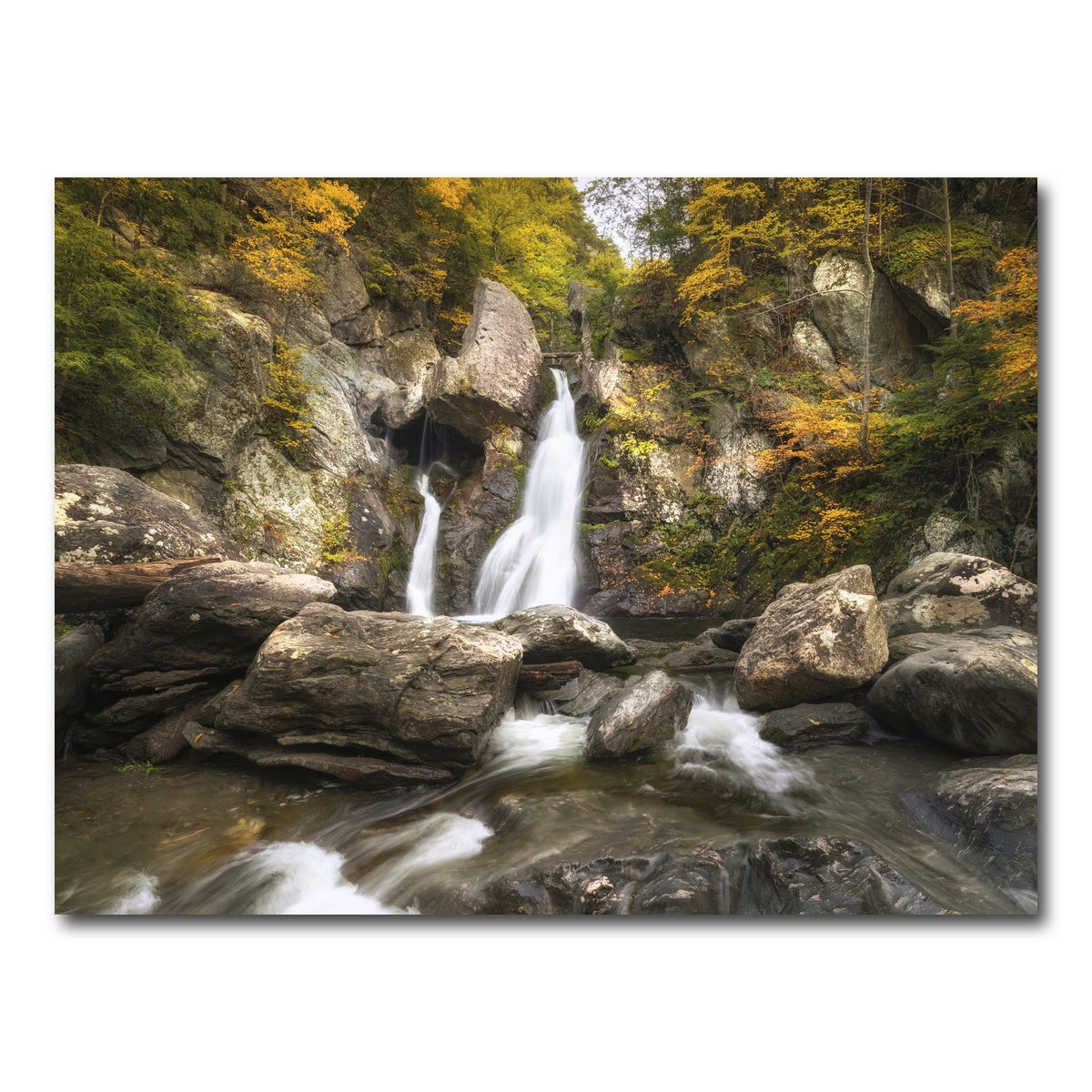 AUTO-MOCKUP WHITE | Autumn Treasure | 1 Piece | Gallery Wrap Canvas | group=4x3