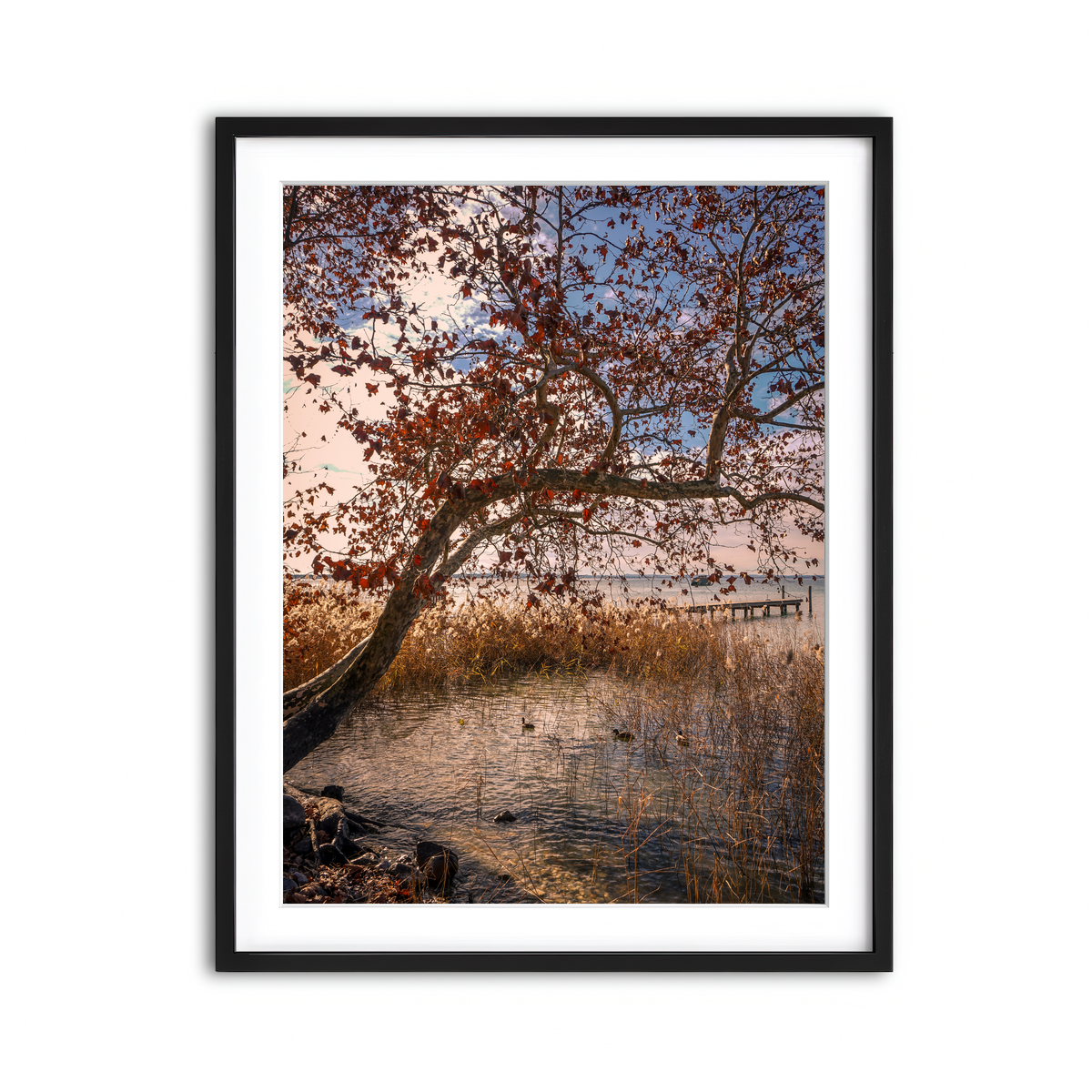 Framed Print 3x4 Black