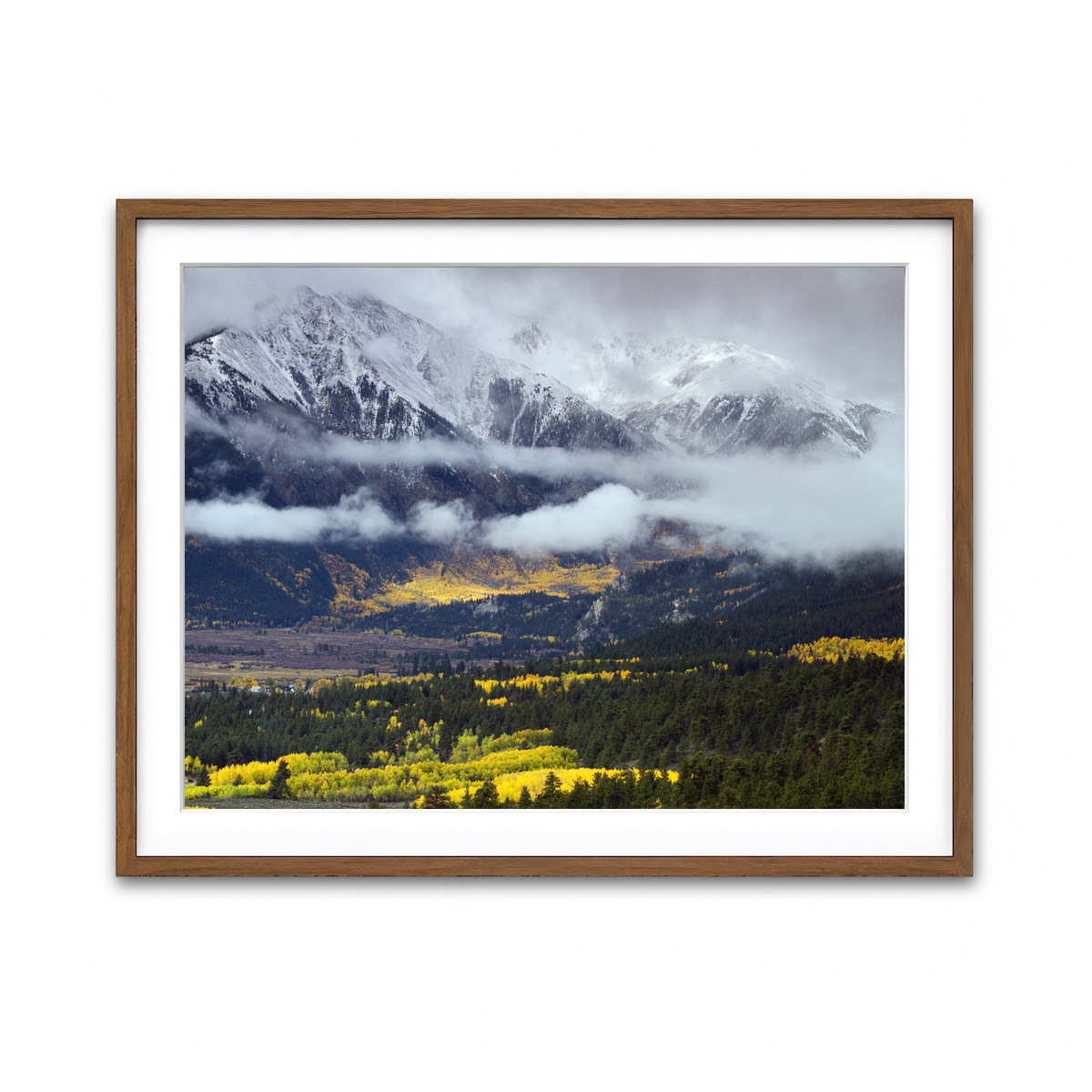 Framed Print 4x3 Walnut