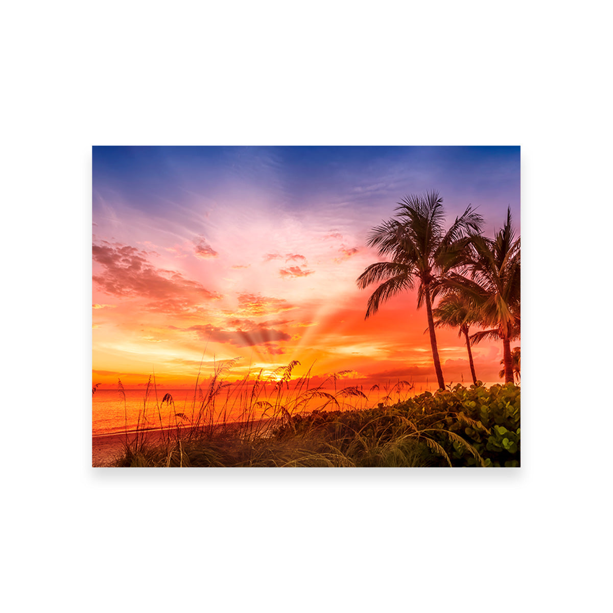 BONITA BEACH Lovely Sunset Wall Art
