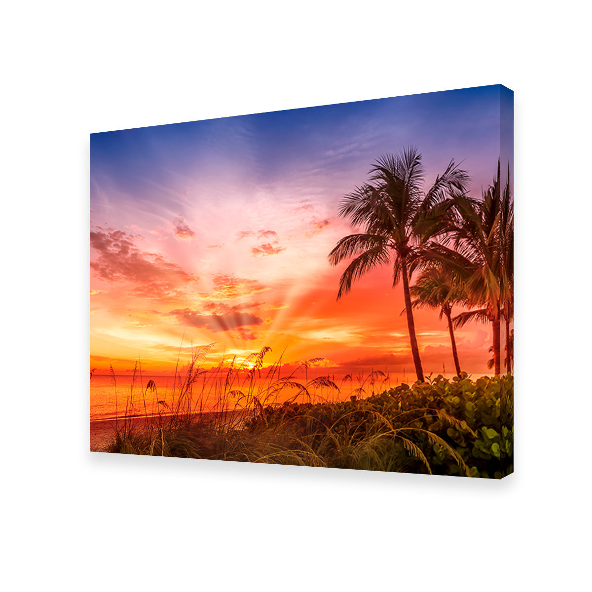 BONITA BEACH Lovely Sunset Wall Art