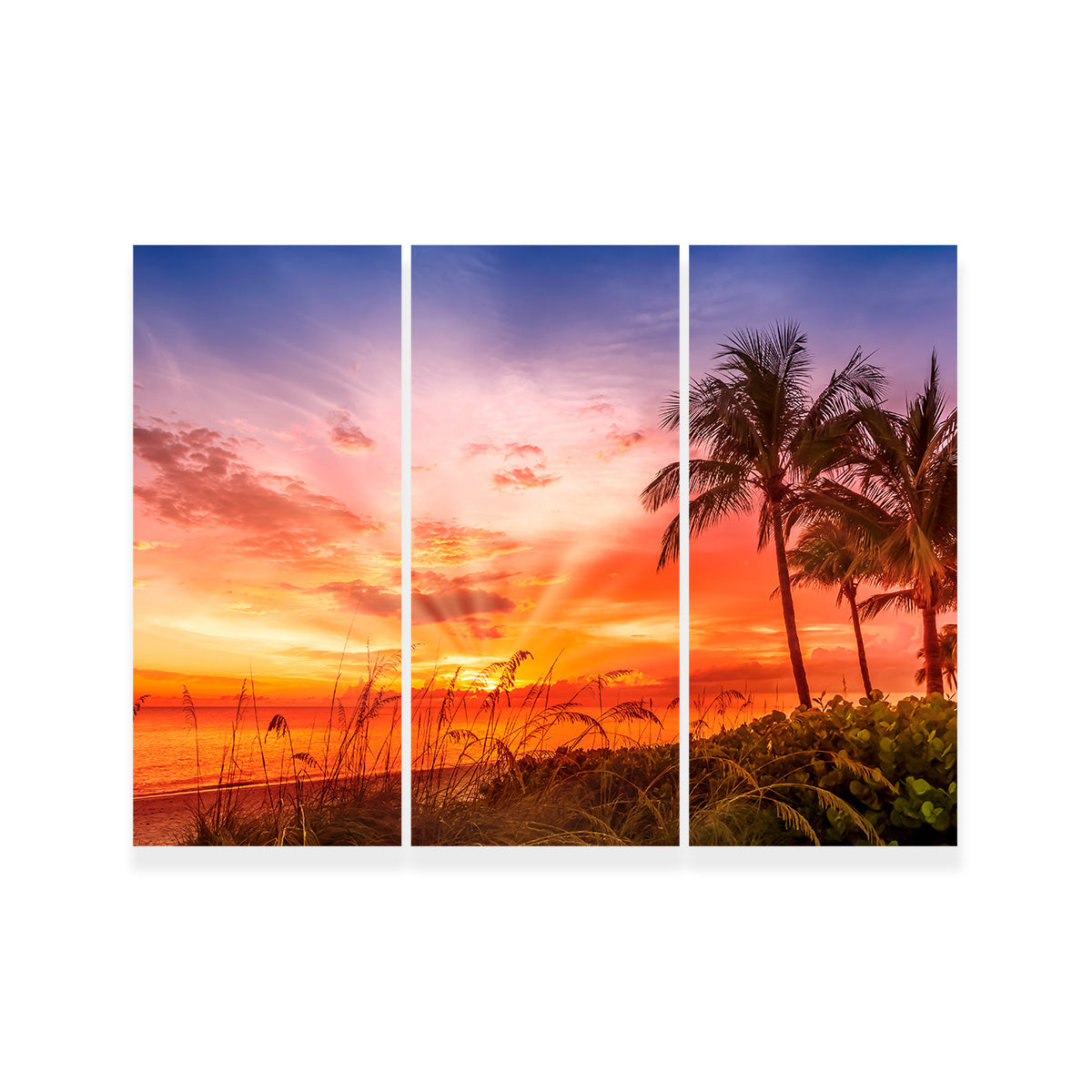 BONITA BEACH Lovely Sunset Wall Art