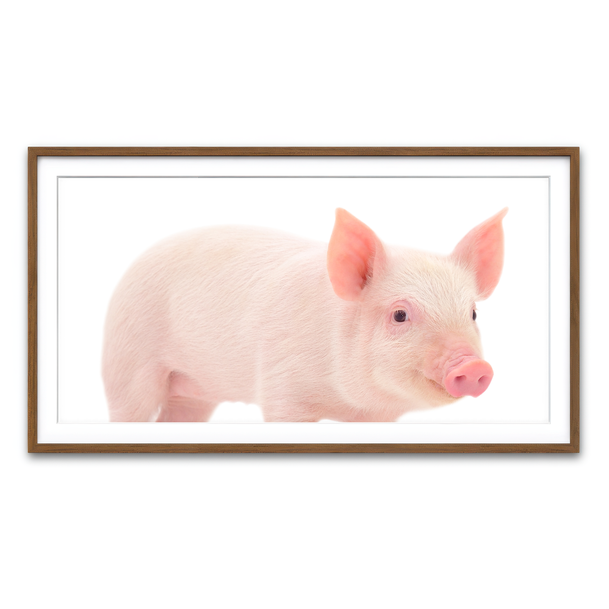 Framed Print 2x1 Walnut