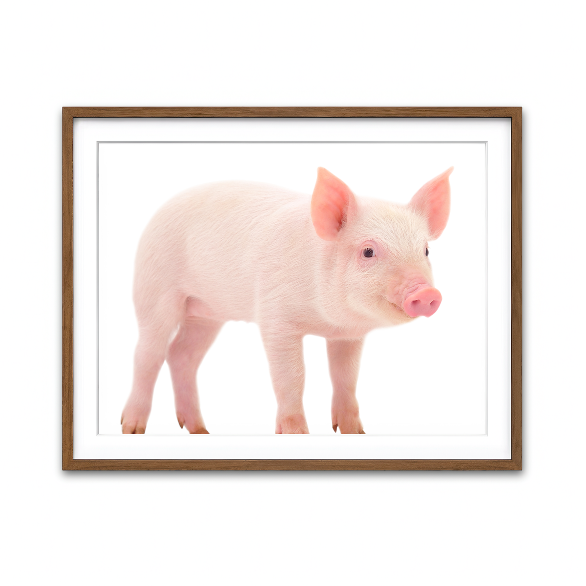 Framed Print 4x3 Walnut