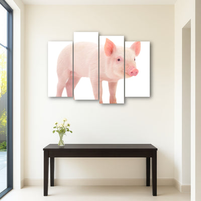 AUTO-MOCKUP ROOM | Baby Pig
