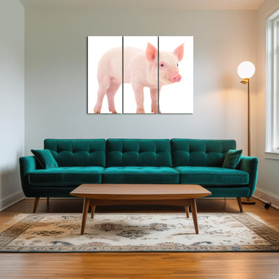 AUTO-MOCKUP ROOM | Baby Pig