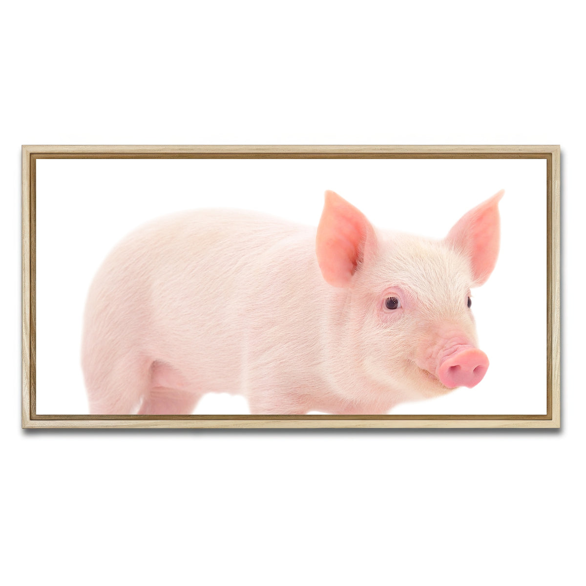 AUTO-MOCKUP WHITE | Baby Pig | 1 Piece | Natural Framed Canvas | group=2x1