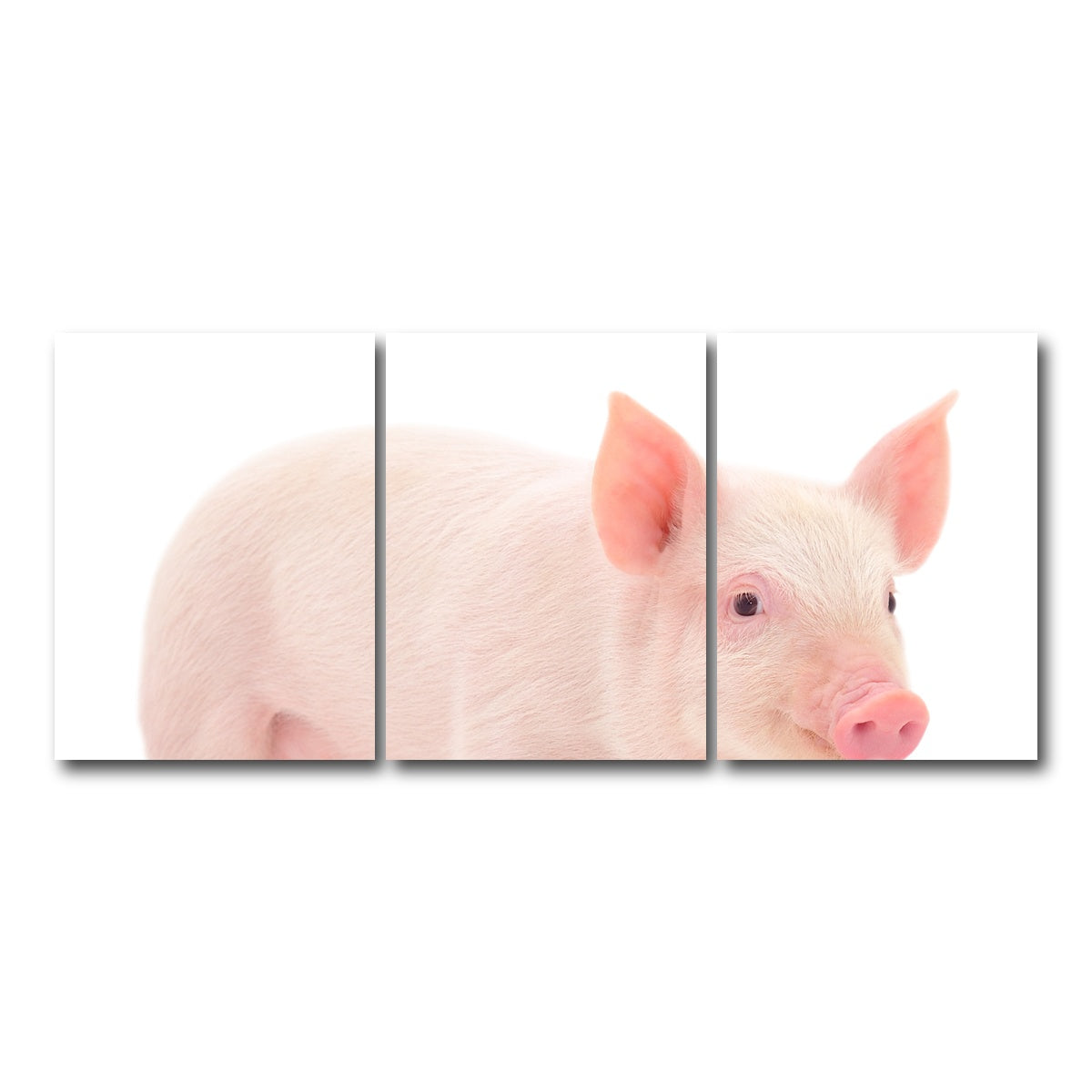 AUTO-MOCKUP WHITE | Baby Pig | 3 Piece | Gallery Wrap Canvas | group=18x24