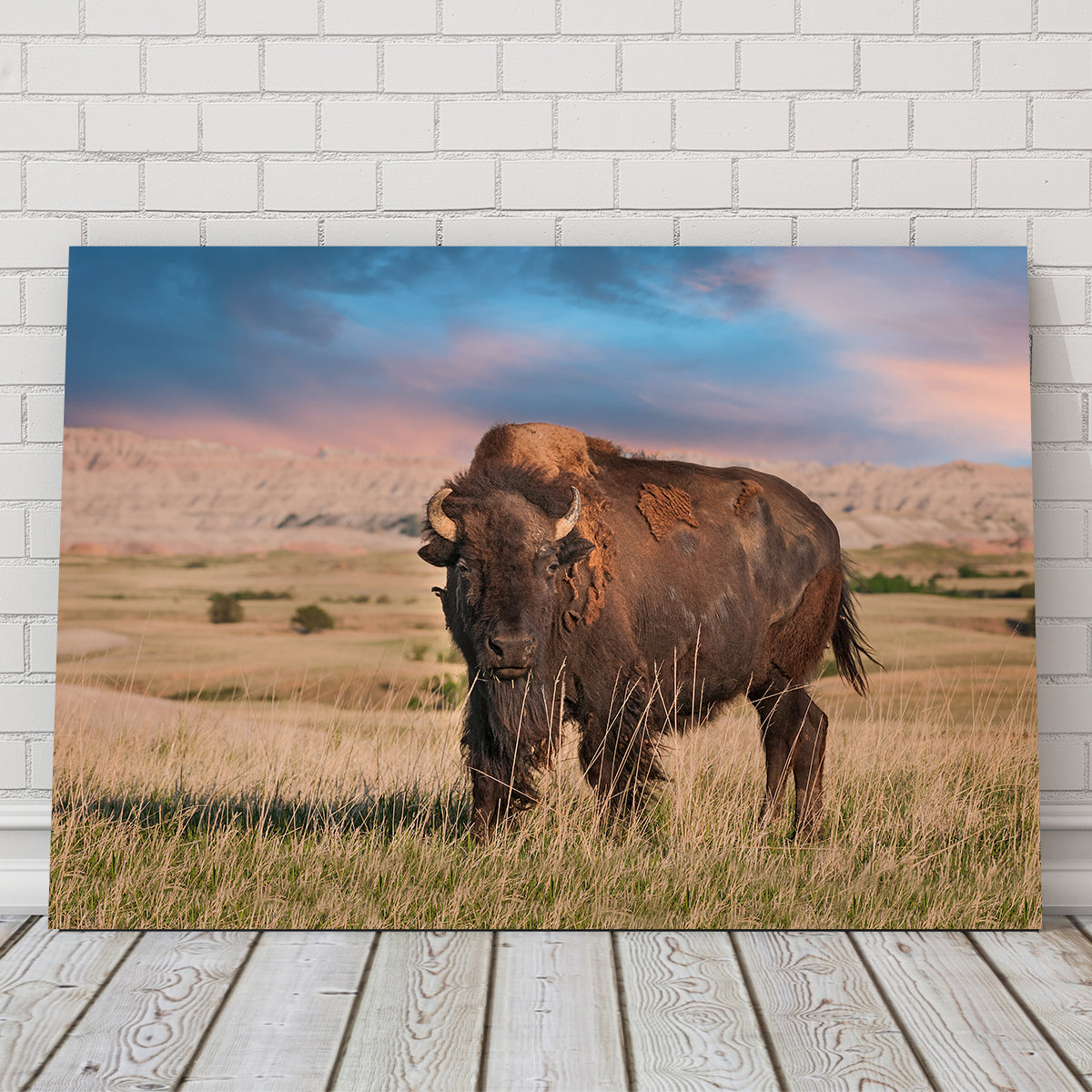 Badlands Bison Bull Wall Art