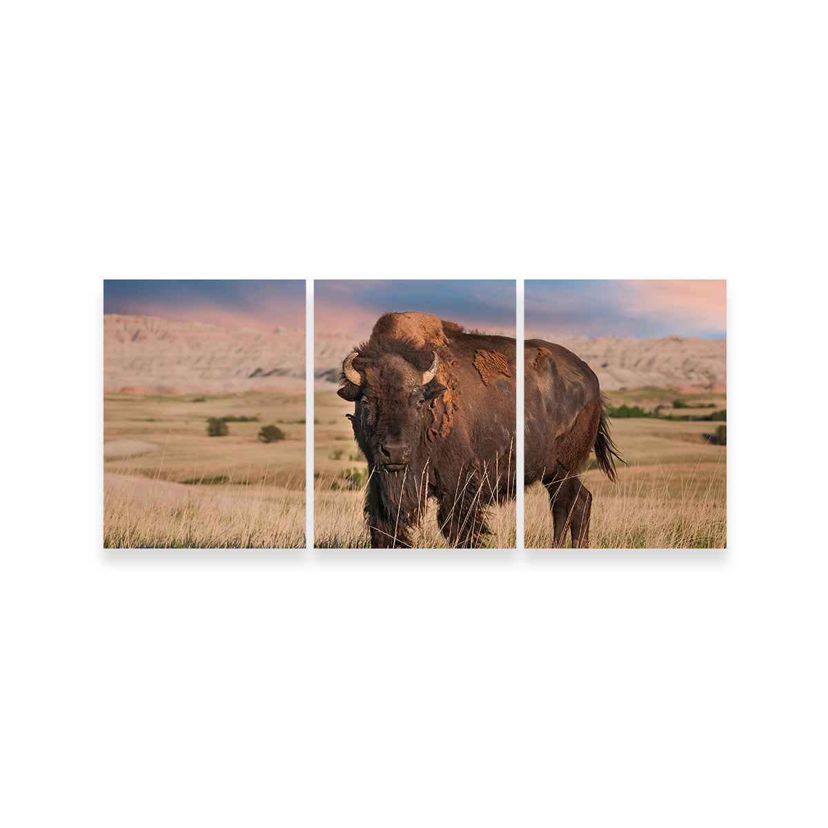 Badlands Bison Bull Wall Art