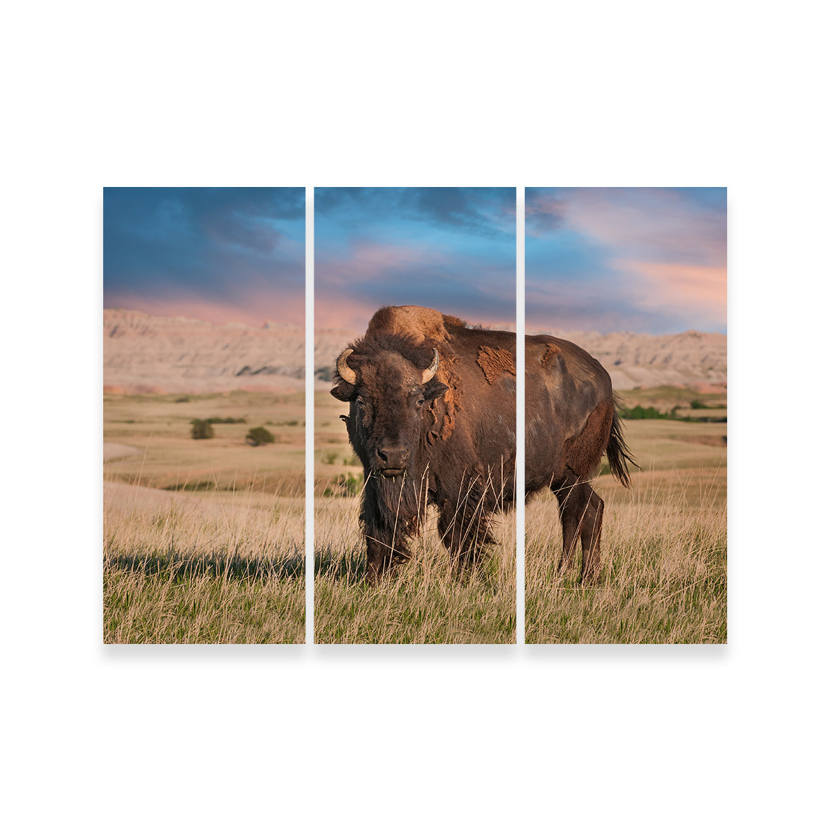 Badlands Bison Bull Wall Art