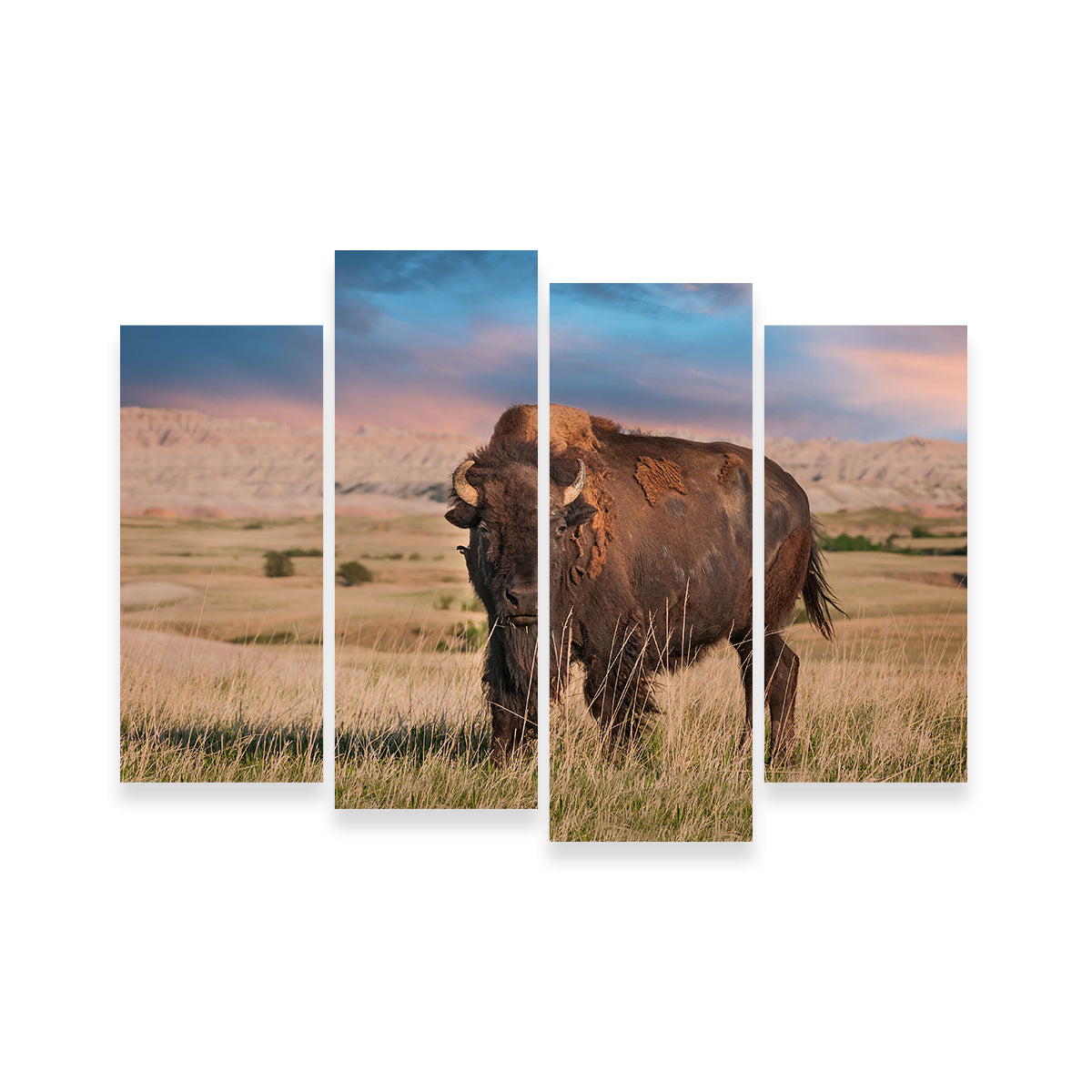 Badlands Bison Bull Wall Art