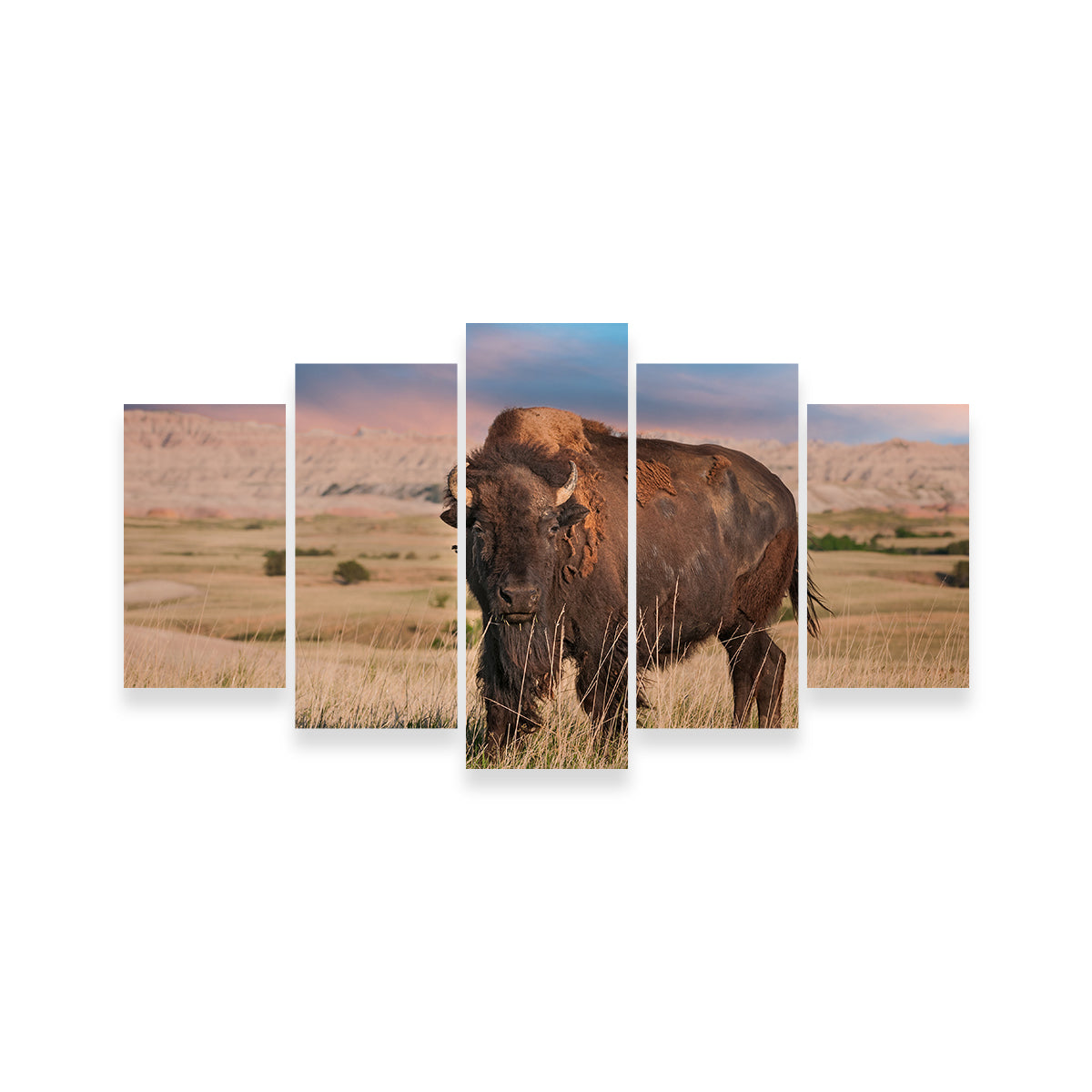 Badlands Bison Bull Wall Art