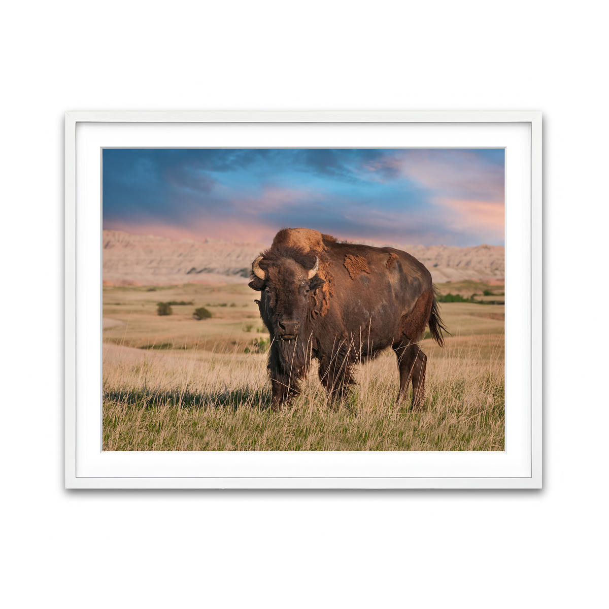 Framed Print 4x3 White