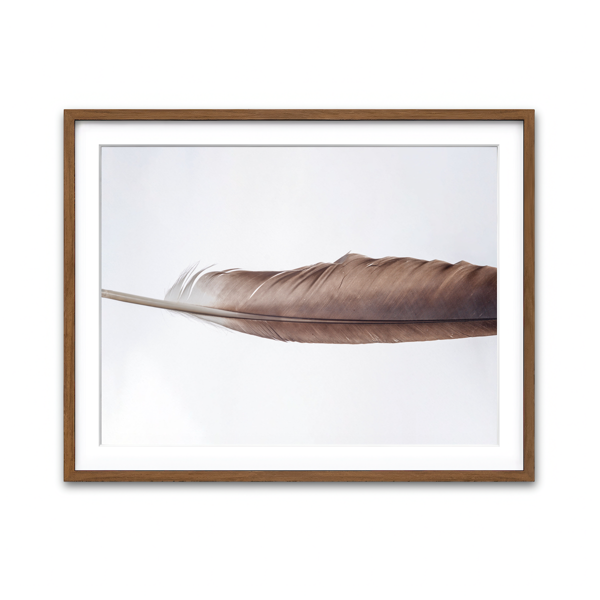 Framed Print 4x3 Walnut