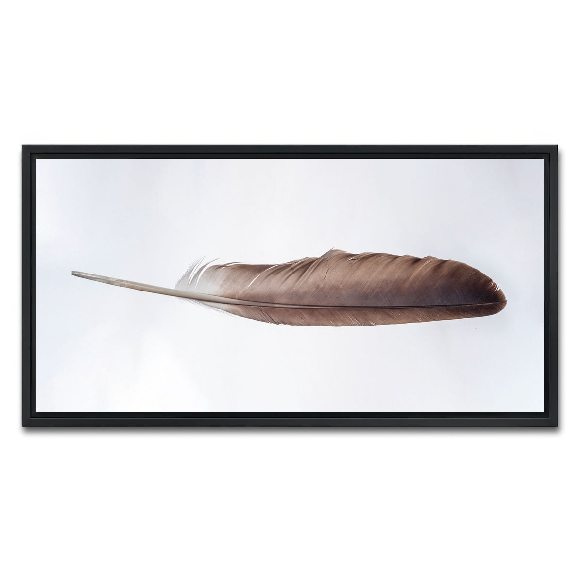 AUTO-MOCKUP WHITE | Bald Eagle Feather | 1 Piece | Black Framed Canvas | group=2x1