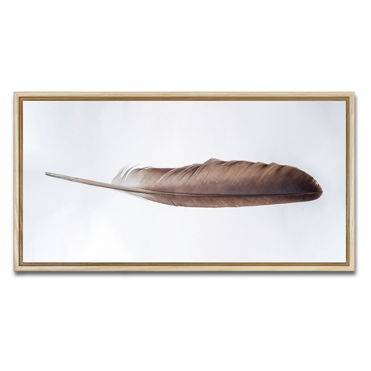 AUTO-MOCKUP WHITE | Bald Eagle Feather | 1 Piece | Natural Framed Canvas | group=2x1