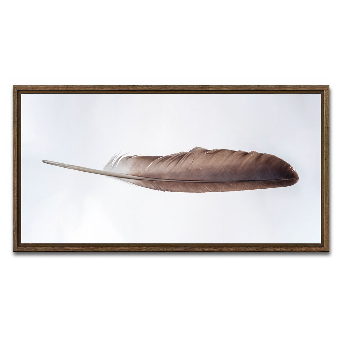 AUTO-MOCKUP WHITE | Bald Eagle Feather | 1 Piece | Walnut Framed Canvas | group=2x1