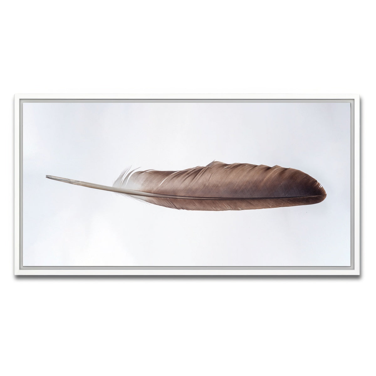 AUTO-MOCKUP WHITE | Bald Eagle Feather | 1 Piece | White Framed Canvas | group=2x1
