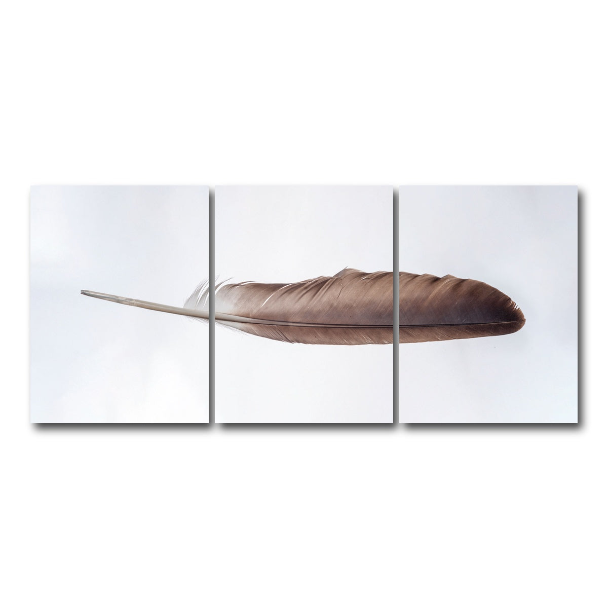 AUTO-MOCKUP WHITE | Bald Eagle Feather | 3 Piece | Gallery Wrap Canvas | group=18x24