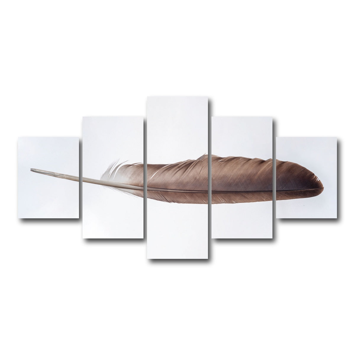 AUTO-MOCKUP WHITE | Bald Eagle Feather | 5 Piece | Gallery Wrap Canvas | group=5_short