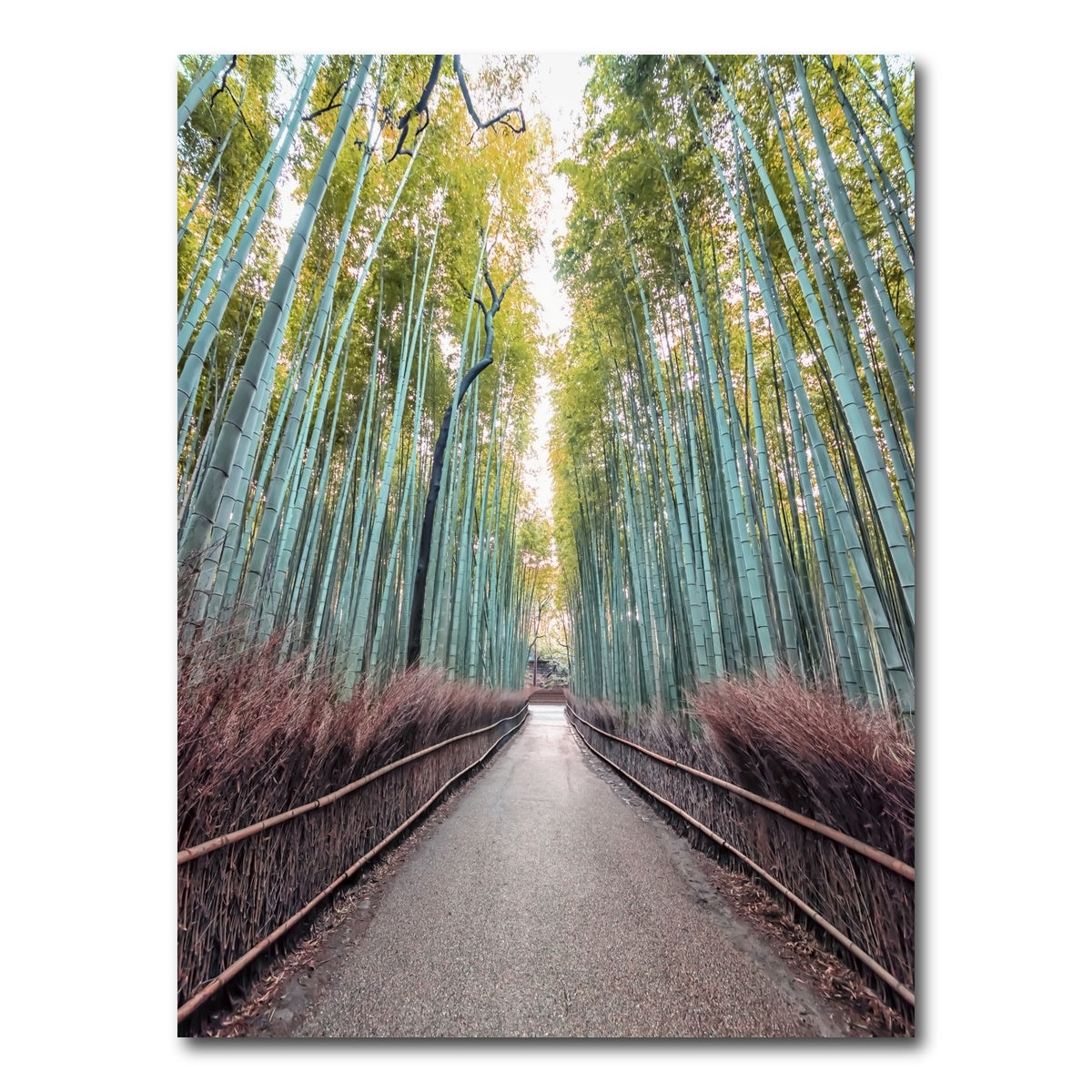 AUTO-MOCKUP WHITE | Bamboo Alley | 1 Piece | Gallery Wrap Canvas | group=3x4