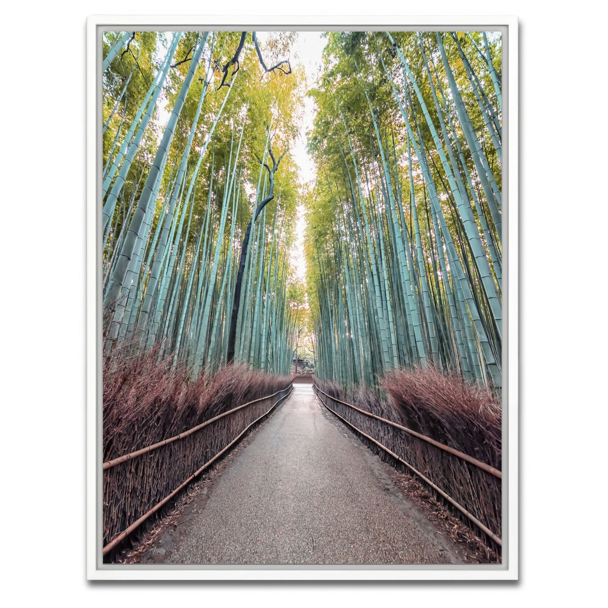 AUTO-MOCKUP WHITE | Bamboo Alley | 1 Piece | White Framed Canvas | group=3x4