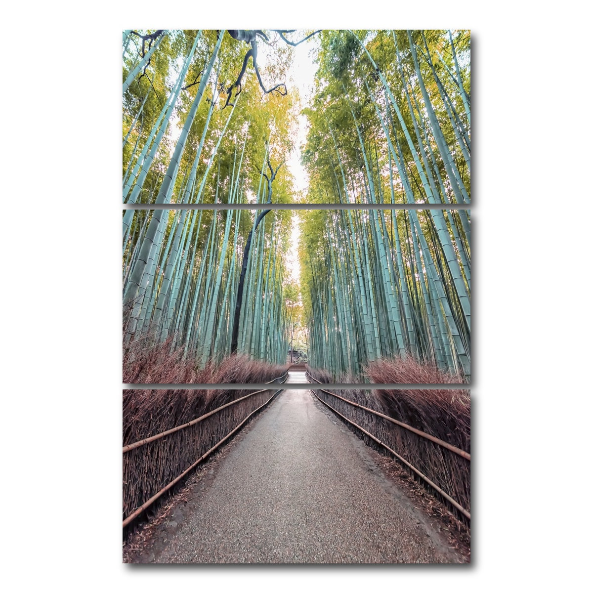 AUTO-MOCKUP WHITE | Bamboo Alley | 3 Piece | Gallery Wrap Canvas | group=12x24_stacked