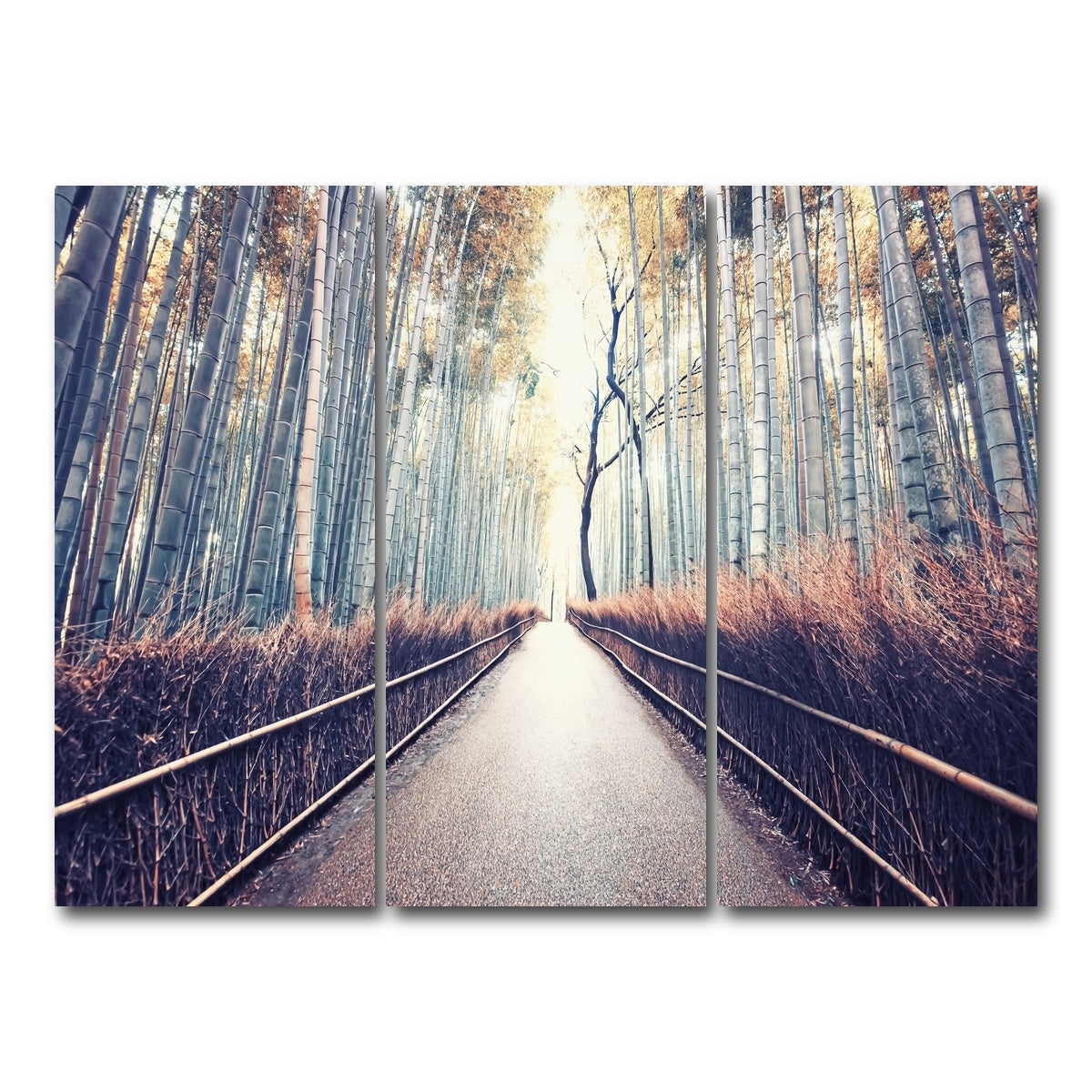 AUTO-MOCKUP WHITE | Bamboo Forest | 3 Piece | Gallery Wrap Canvas | group=8x18