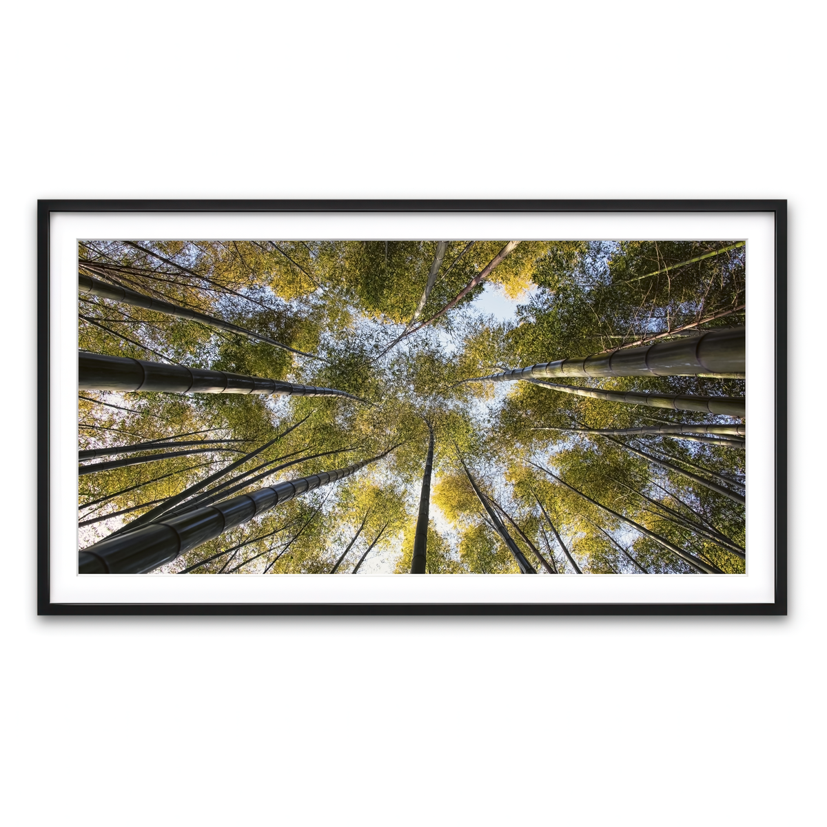 Framed Print 2x1 Black