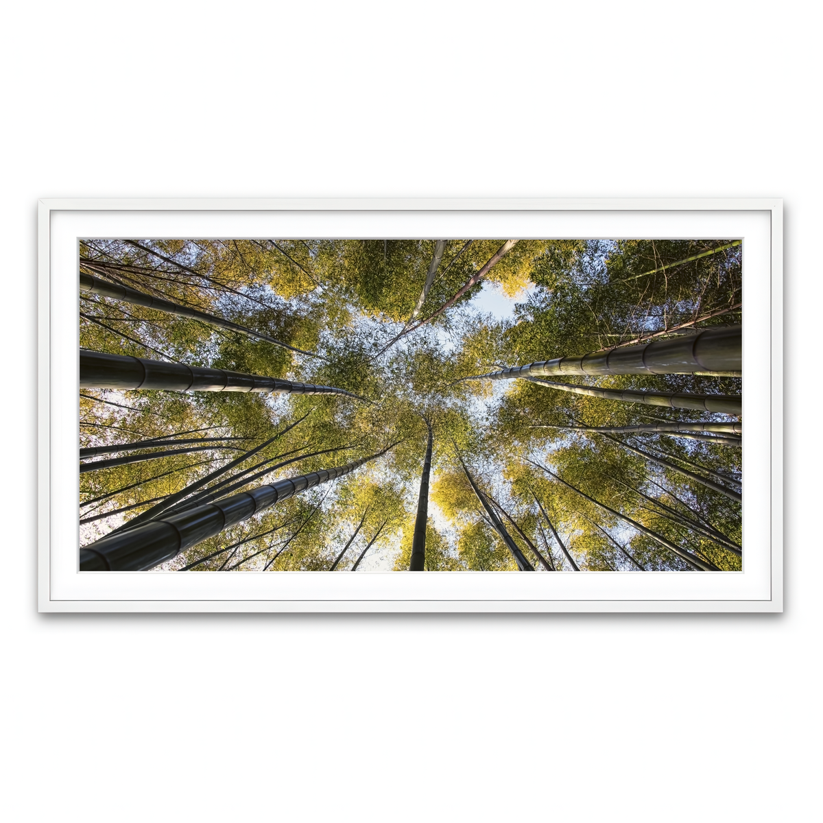 Framed Print 2x1 White