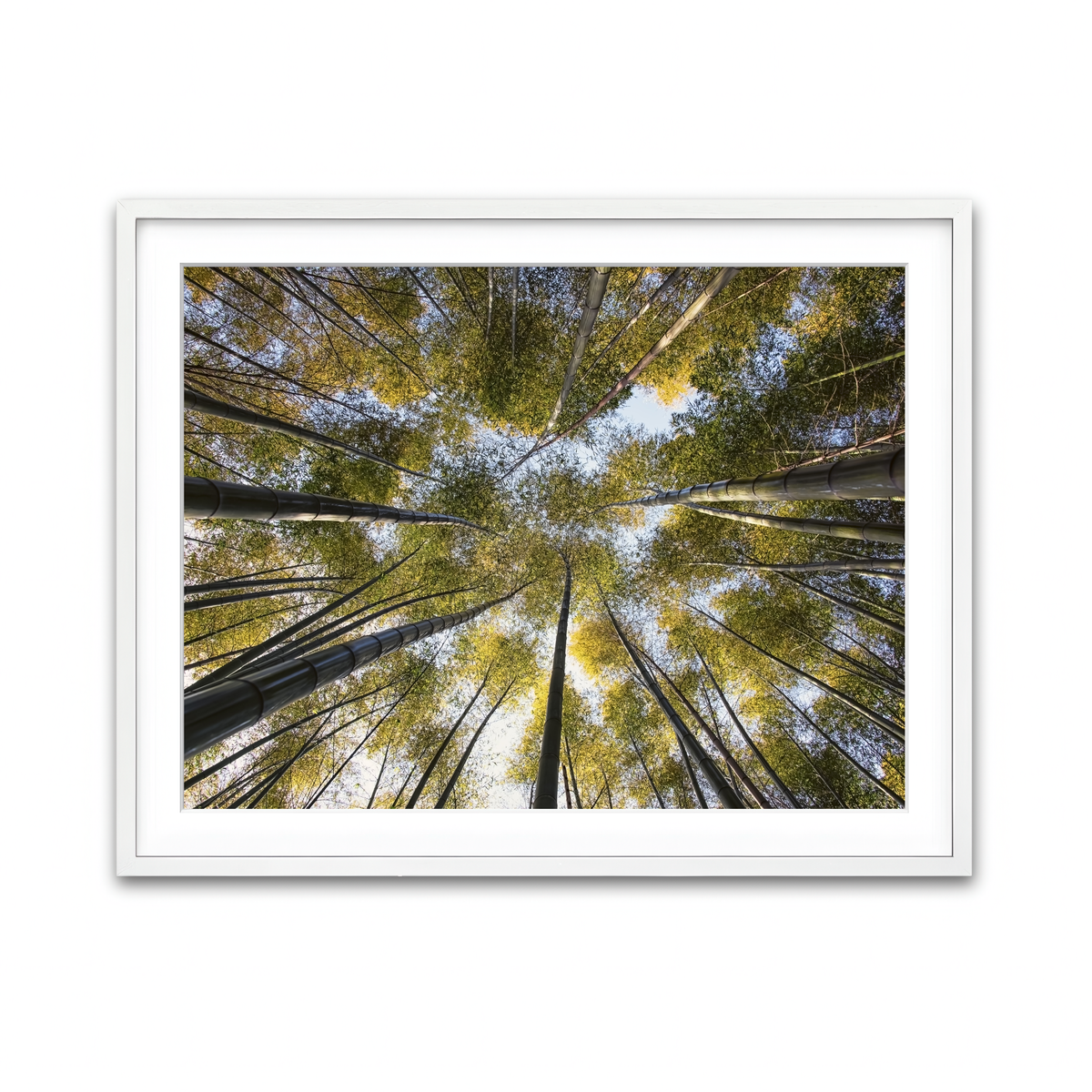 Framed Print 4x3 White