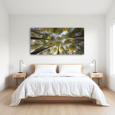 AUTO-MOCKUP ROOM | Bamboo Grove