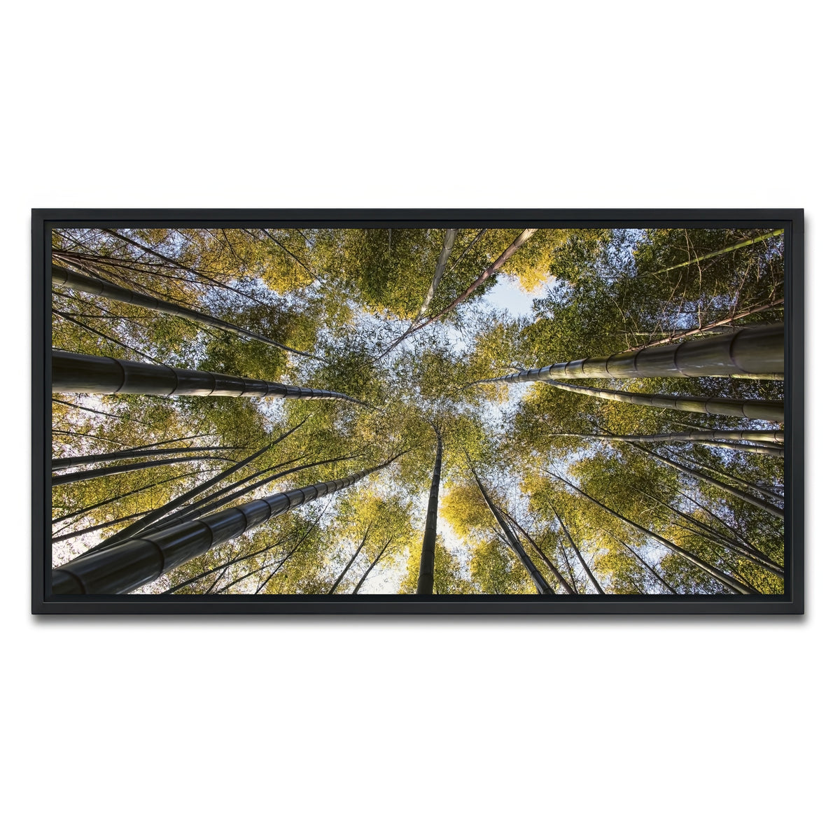 AUTO-MOCKUP WHITE | Bamboo Grove | 1 Piece | Black Framed Canvas | group=2x1