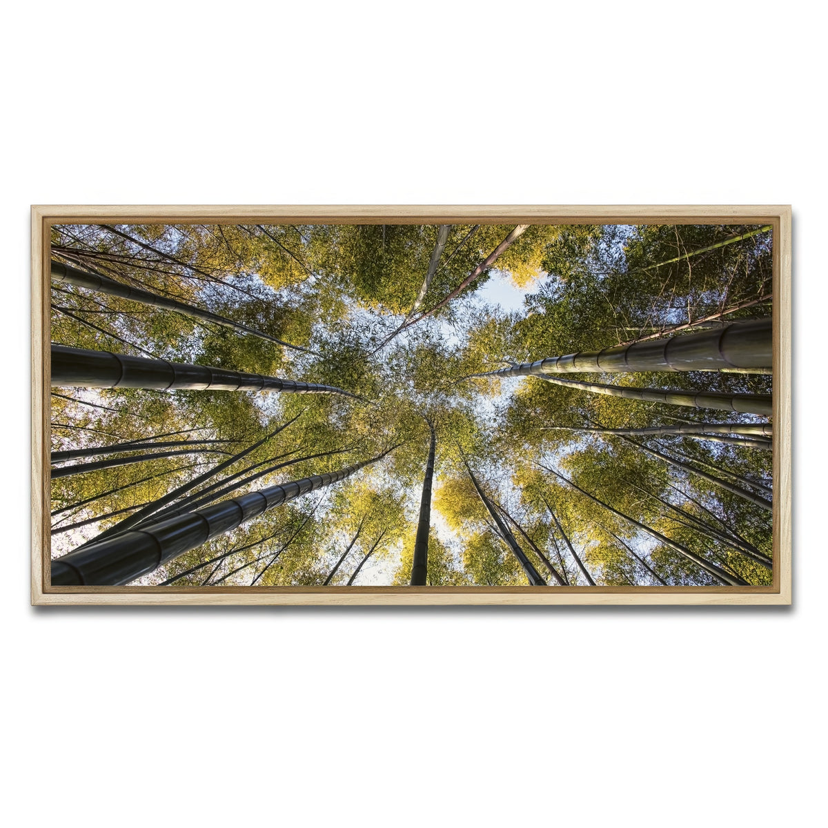 AUTO-MOCKUP WHITE | Bamboo Grove | 1 Piece | Natural Framed Canvas | group=2x1