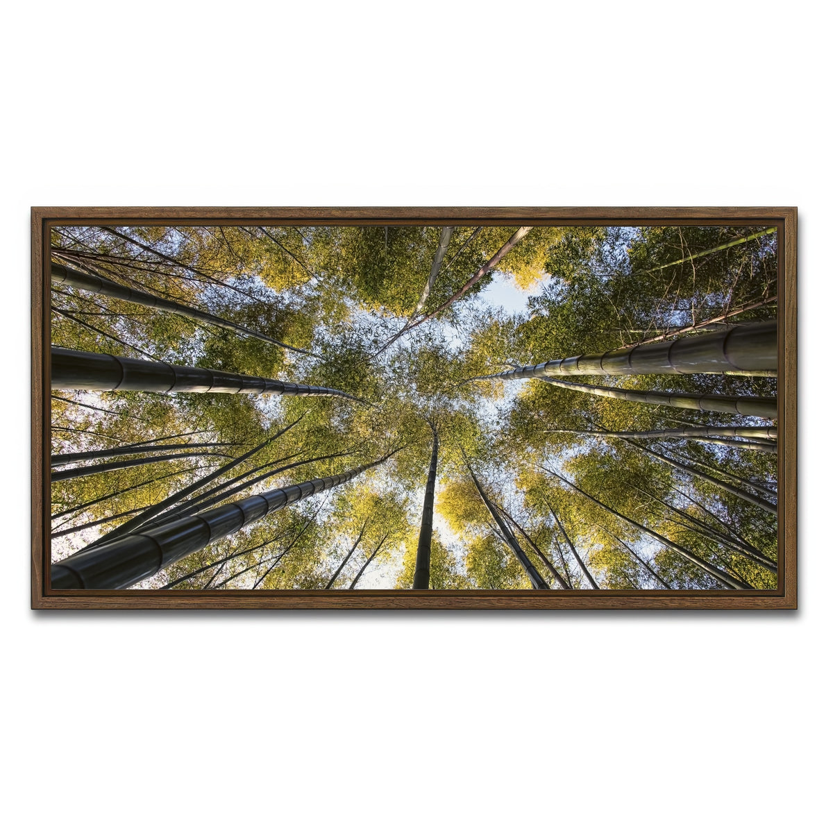AUTO-MOCKUP WHITE | Bamboo Grove | 1 Piece | Walnut Framed Canvas | group=2x1