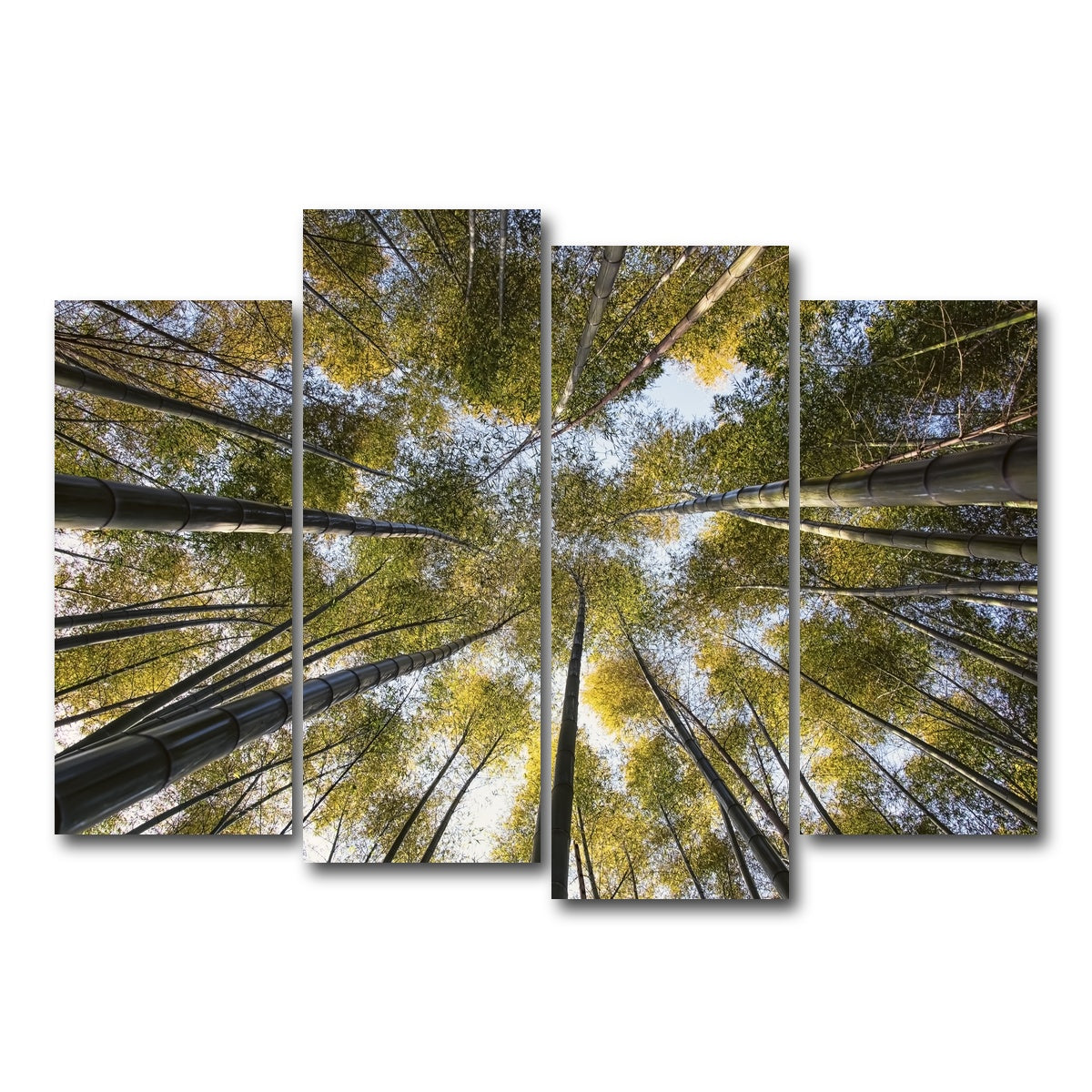 AUTO-MOCKUP WHITE | Bamboo Grove | 4 Piece | Gallery Wrap Canvas | group=4_normal